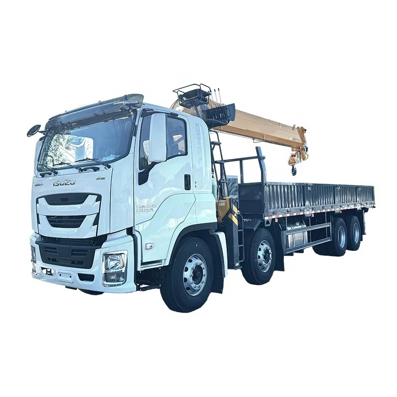 1SUZU GIGA 8x4 Grue Mont&eacute;e Sur Camion 12 Tonnes Camion De Grue &agrave; Manchette T&eacute;le