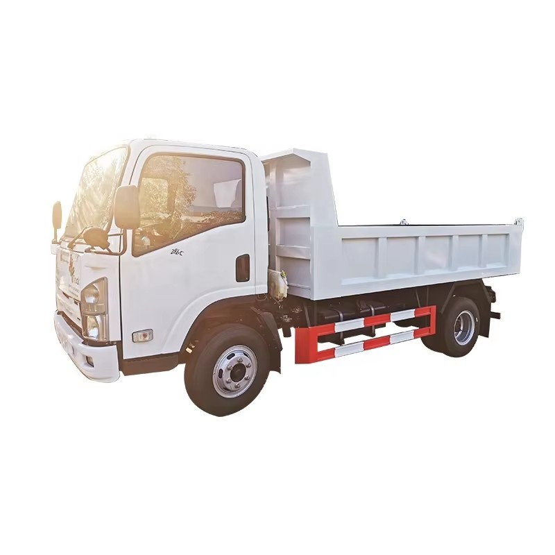 JAC Mini Camion &agrave; Virure Diesel Personnalis&eacute; 1Ton 3Ton 5Ton Camion Basculeur &agrave; 